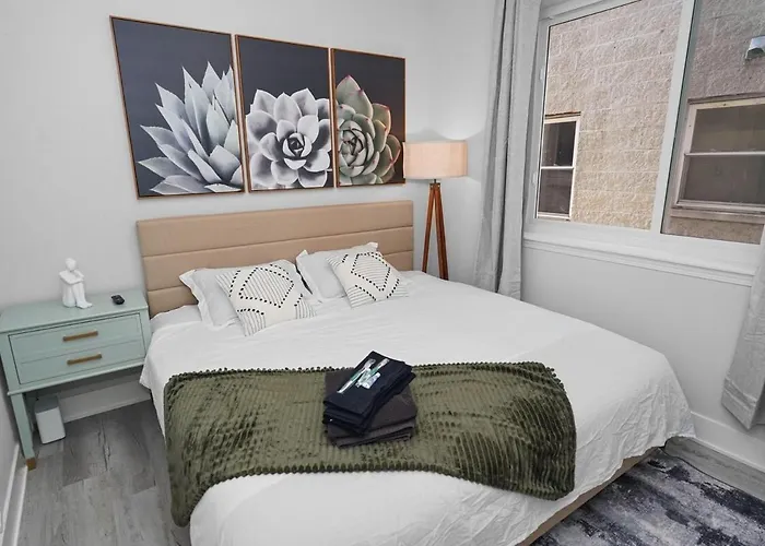 Spacious 3br Near Downtown, Of Illinois & Medical District Appartement Chicago
